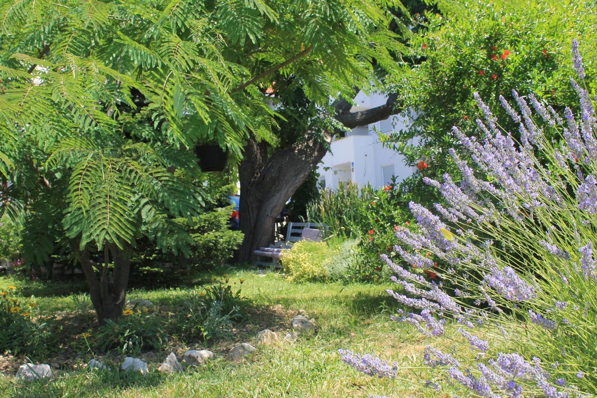 Apartments 501 - Rab Island Oasis Retreat Supetarska Draga Esterno foto