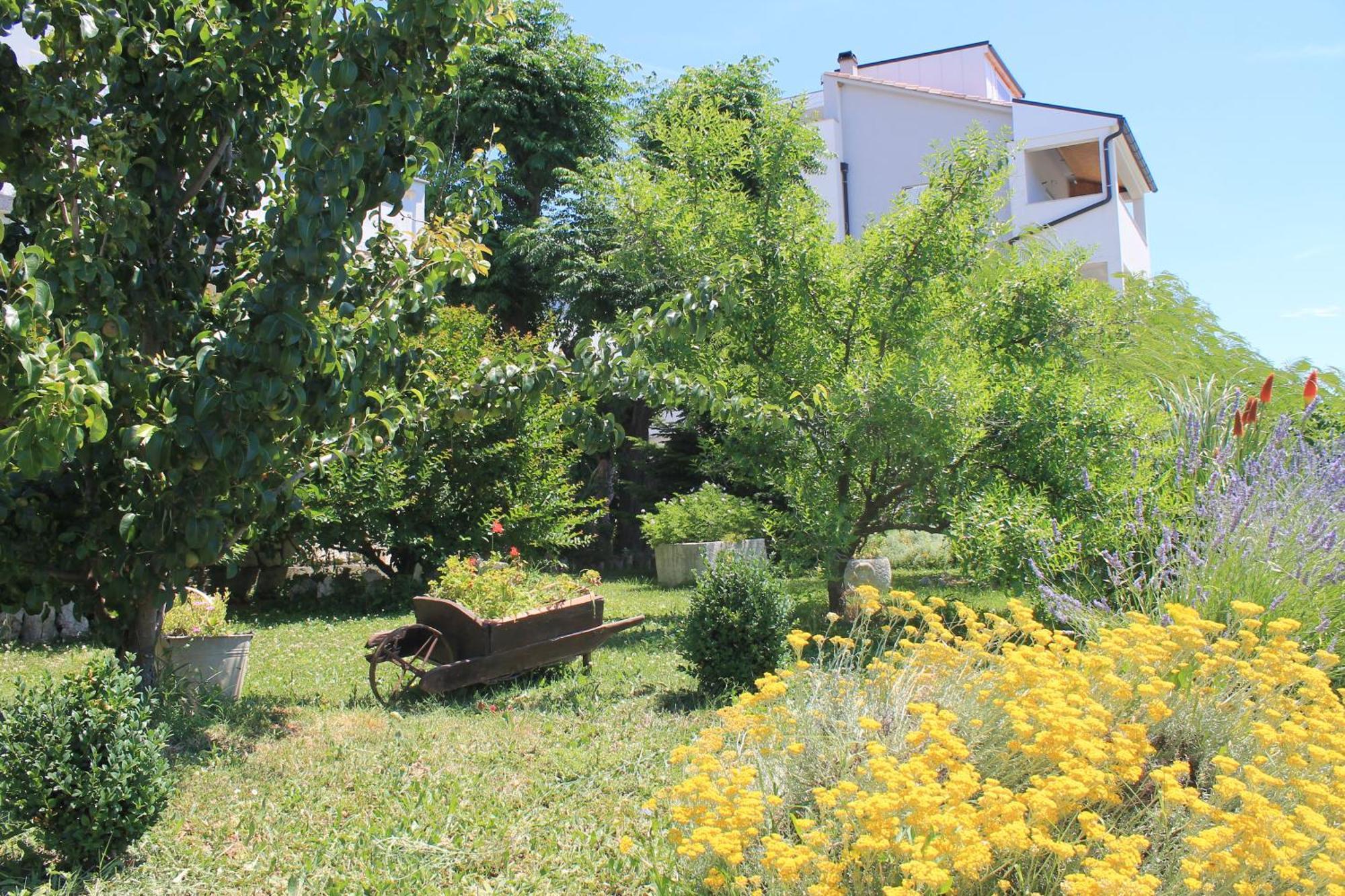 Apartments 501 - Rab Island Oasis Retreat Supetarska Draga Esterno foto