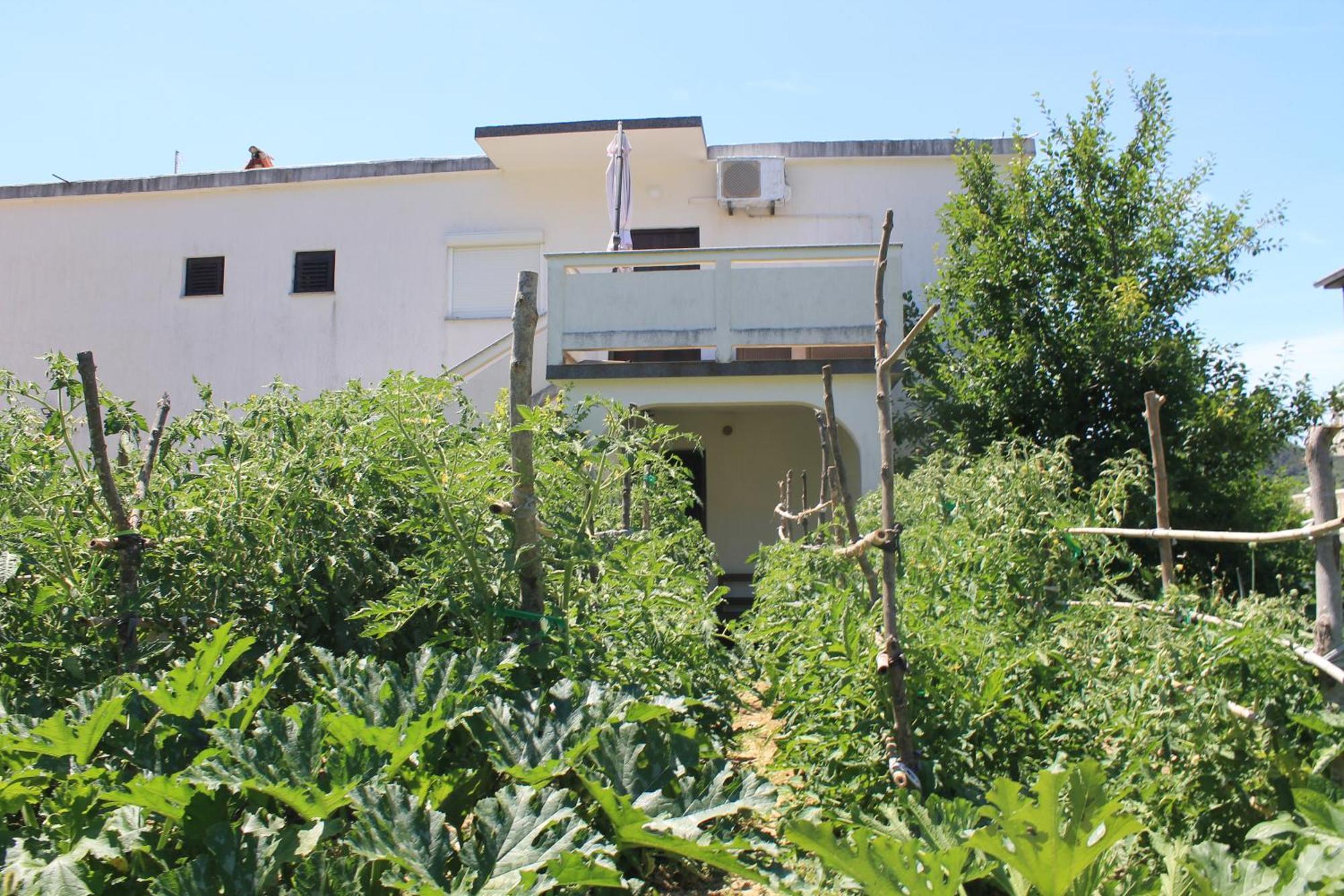 Apartments 501 - Rab Island Oasis Retreat Supetarska Draga Esterno foto