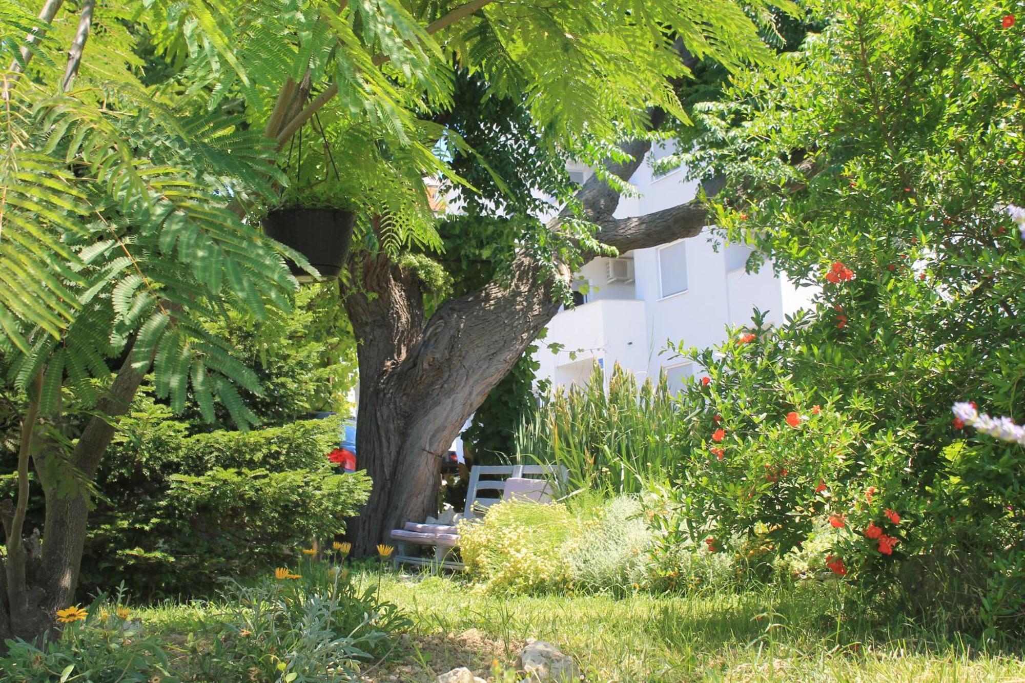 Apartments 501 - Rab Island Oasis Retreat Supetarska Draga Esterno foto