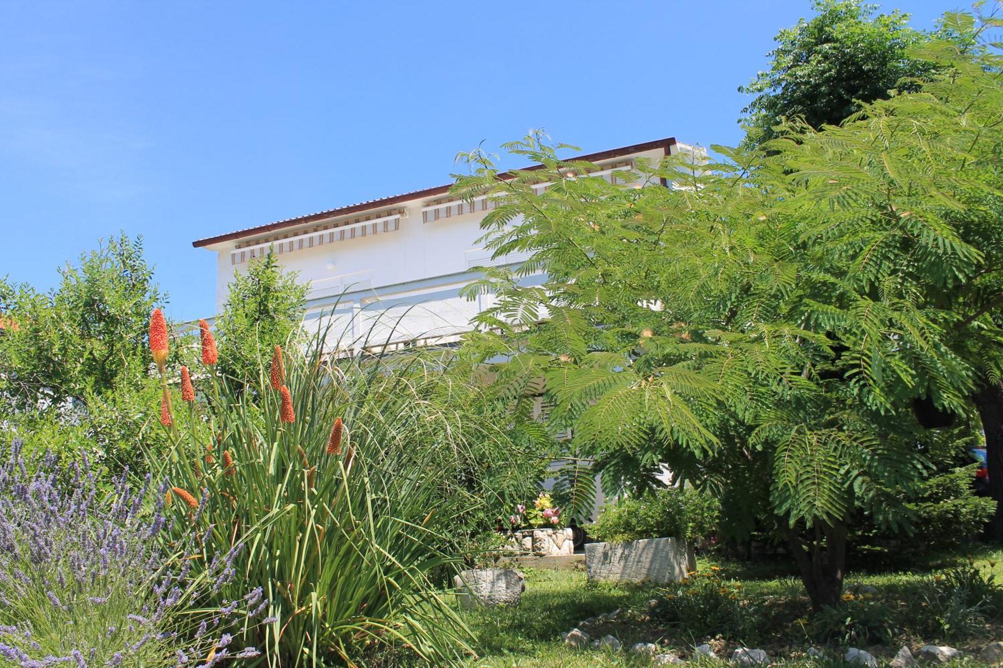 Apartments 501 - Rab Island Oasis Retreat Supetarska Draga Esterno foto