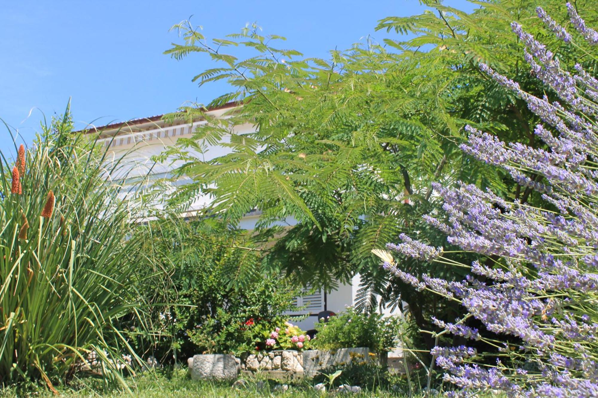 Apartments 501 - Rab Island Oasis Retreat Supetarska Draga Esterno foto