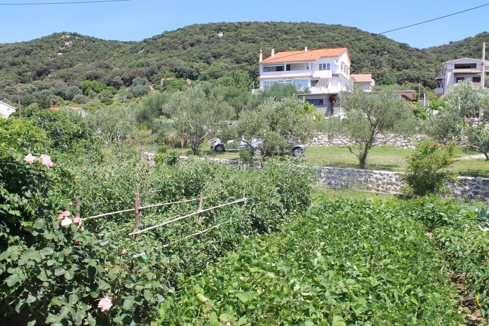 Apartments 501 - Rab Island Oasis Retreat Supetarska Draga Esterno foto