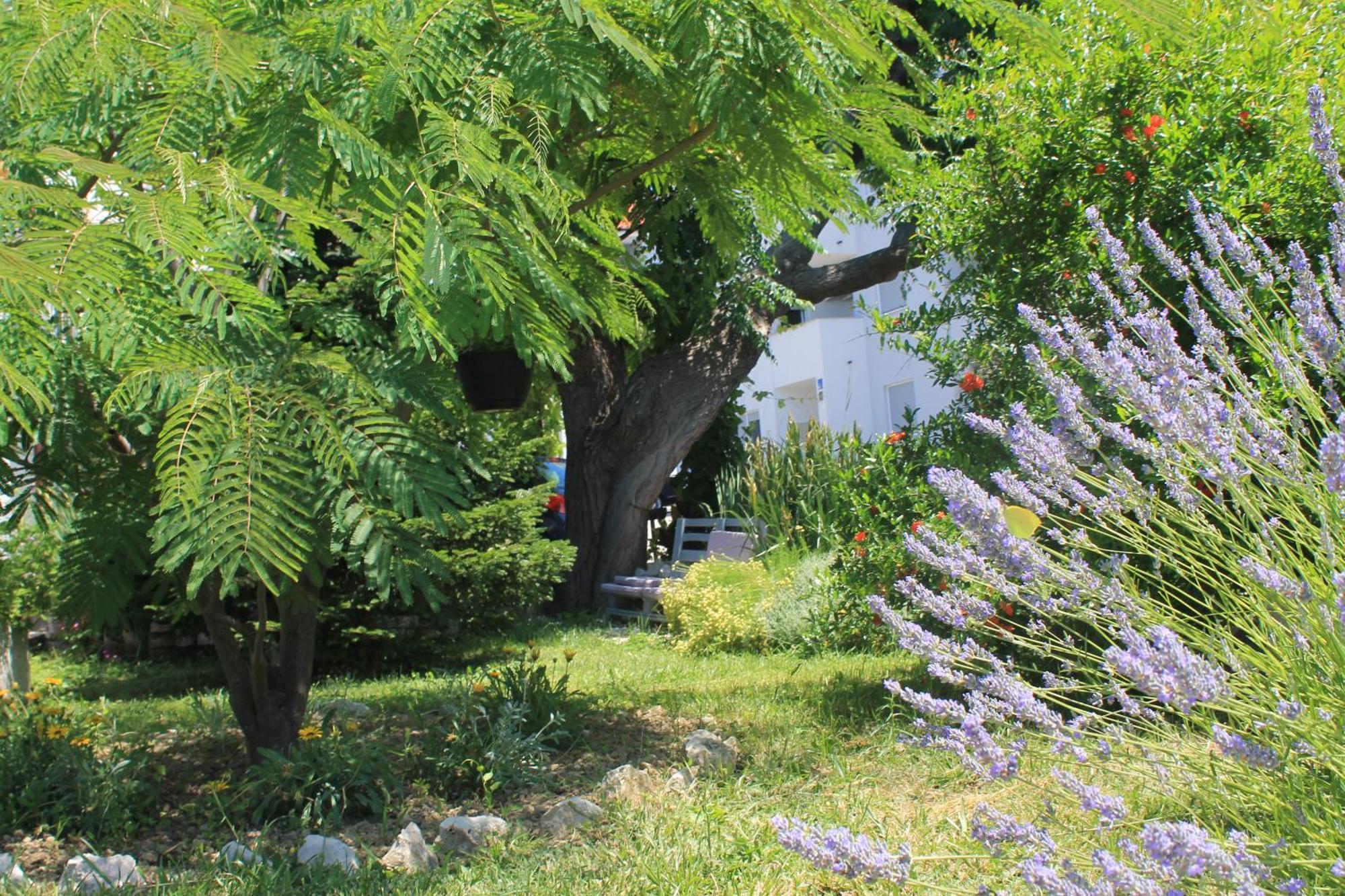 Apartments 501 - Rab Island Oasis Retreat Supetarska Draga Esterno foto