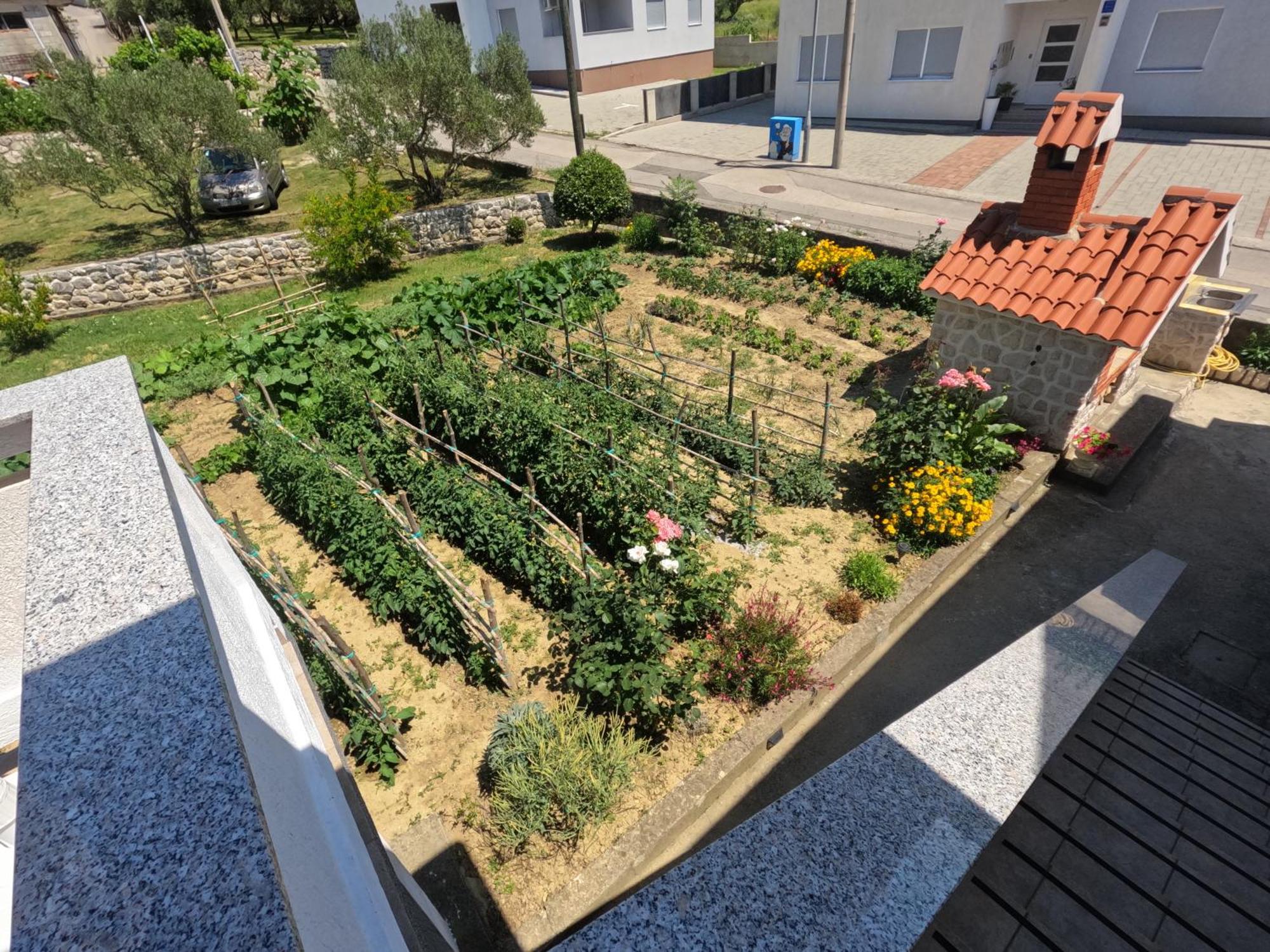 Apartments 501 - Rab Island Oasis Retreat Supetarska Draga Esterno foto